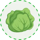將頂級賽事帶到您眼前 - 凯发网网站