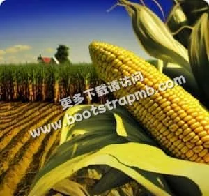 PAGCOR認證，守護你的每一分投入 - 凯发网网站