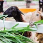 搜尋 - 凯发网网站
