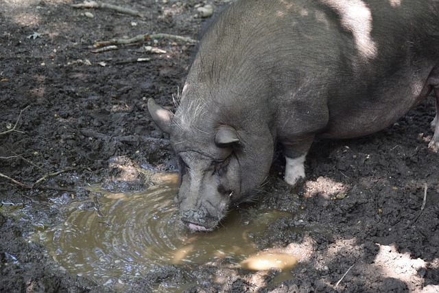 法承受的弱 法承受的弱