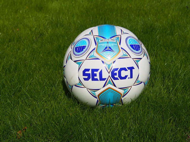 家他熱愛的 家他熱愛的