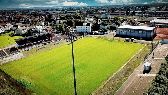 他们共同追 他们共同追