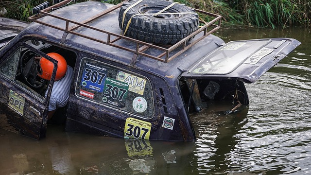 不应忽视 不应忽视