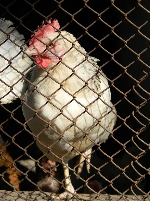 U20国青陈仕晗：全队的目标是在U20亚洲杯上取得好成绩.