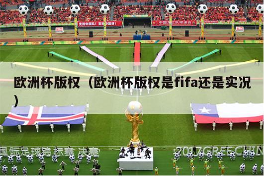 欧洲杯版权（欧洲杯版权是fifa还是实况）