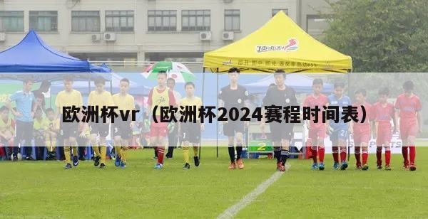 欧洲杯vr（欧洲杯2024赛程时间表）