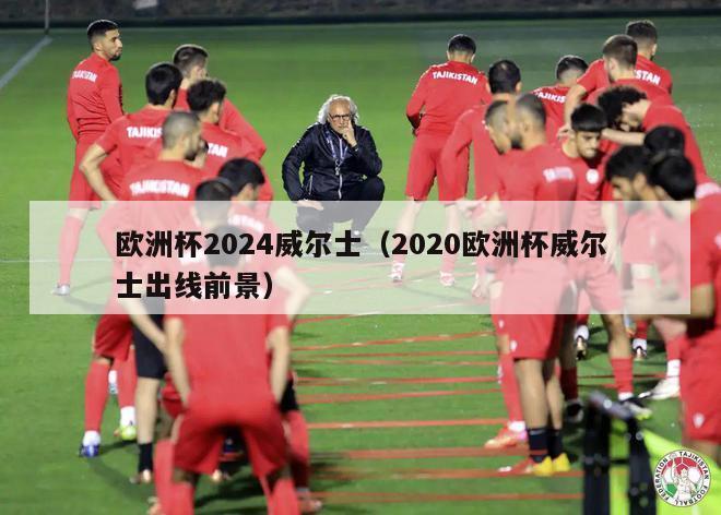 欧洲杯2024威尔士（2020欧洲杯威尔士出线前景）