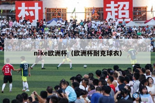 nike欧洲杯（欧洲杯耐克球衣）